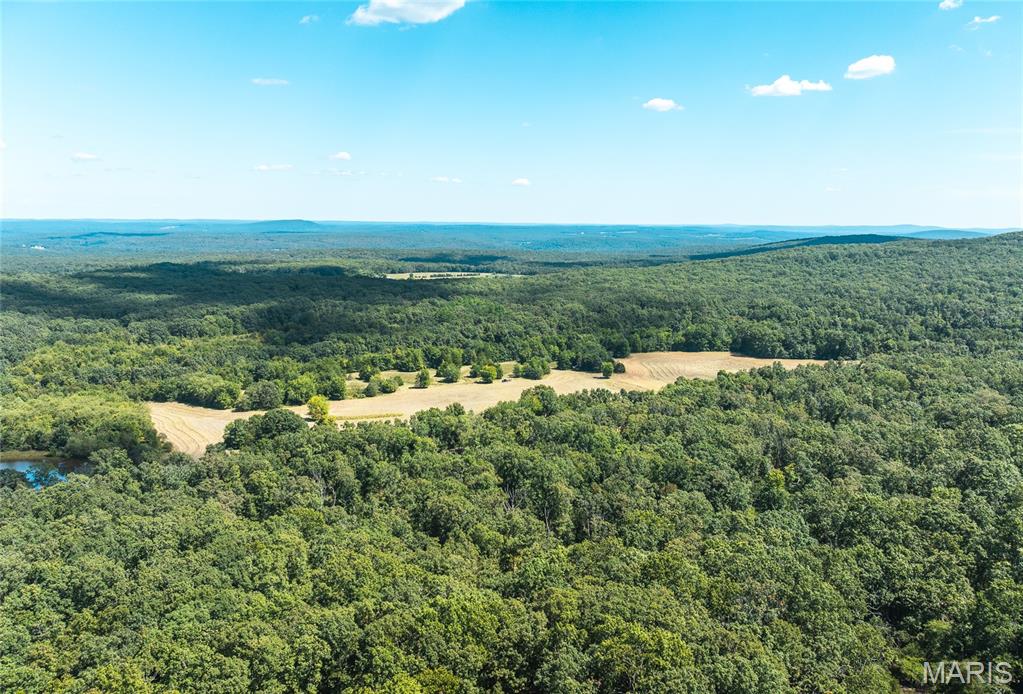4 Buck Mountain Road Ironton, MO 63650 - Photo 11 of 27