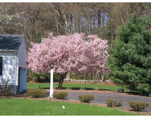 29 Oriole Road Medfield, MA 02052 - Photo 2 of 29 Gallery Image 2