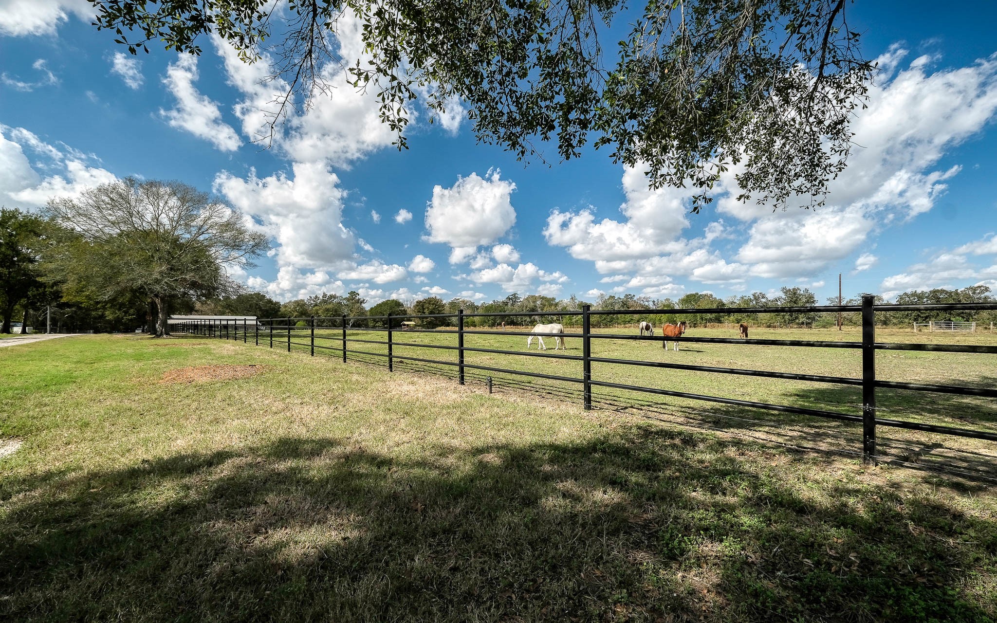 22474 Kmiec Road Hempstead, TX 77445 - Photo 45 of 49