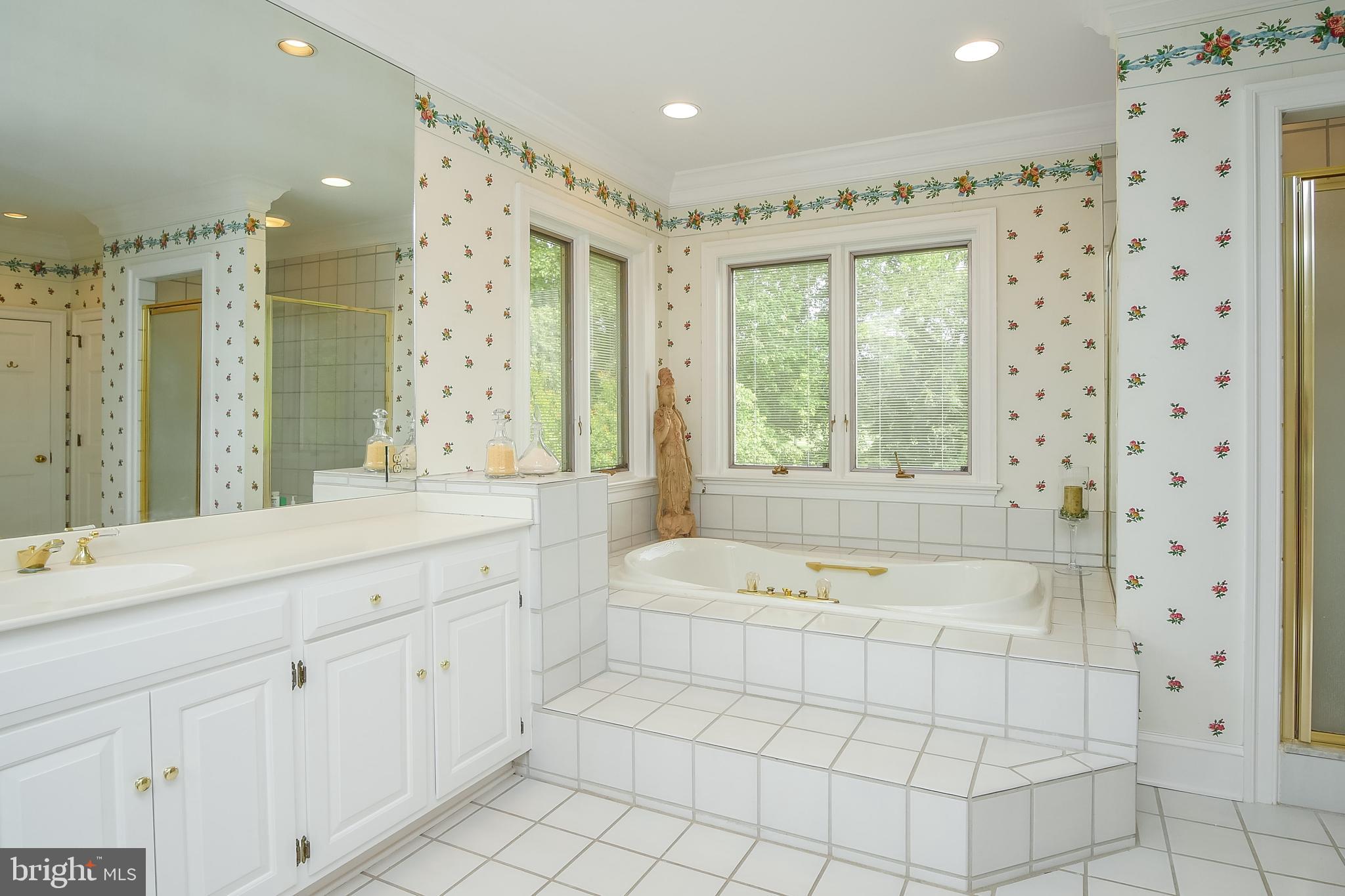234 Pine Valley Road Dover, DE 19904 - Photo 29 of 48 a spacious bathroom with a double vanity sink a large mirror and a bathtub