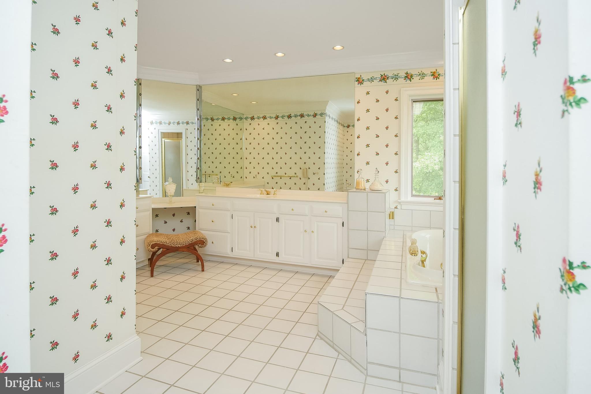 234 Pine Valley Road Dover, DE 19904 - Photo 30 of 48 a bathroom with a bathtub and a shower