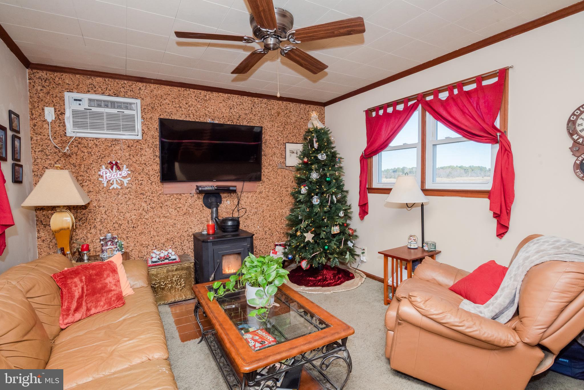 9338 Deal Island Road Deal Island, MD 21821 - Photo 21 of 58 Family room with pellet stove