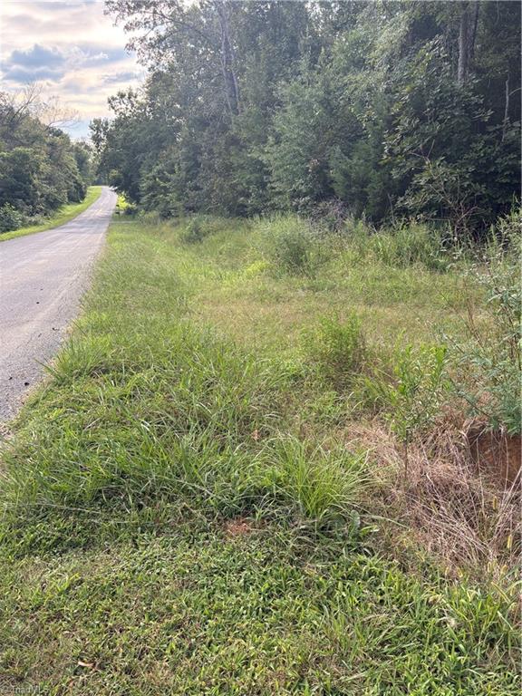 7149 Nature Road Liberty, NC 27298 - Photo 5 of 7