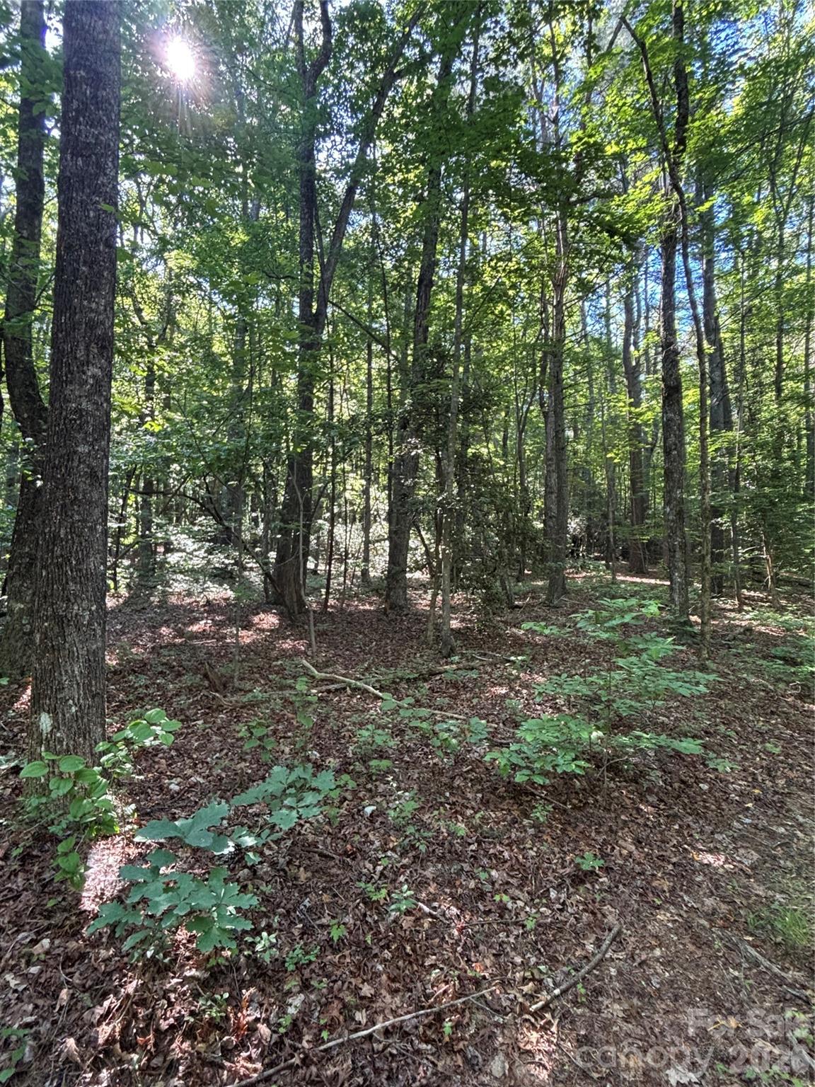 0 Stillwater Road Boomer, NC 28606 - Photo 26 of 33