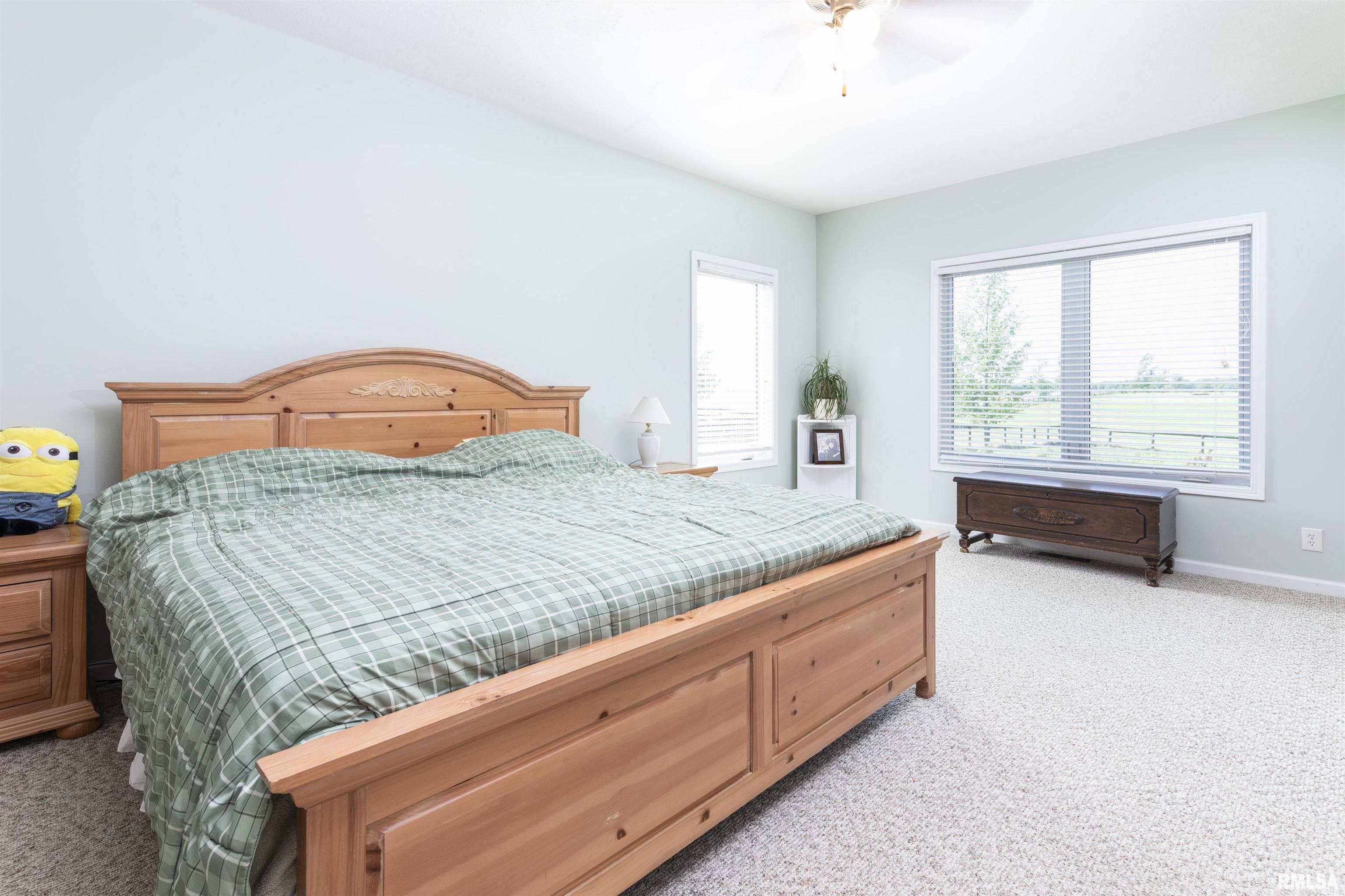 15920 Apricot Road Wapella, IL 61777 - Photo 13 of 66