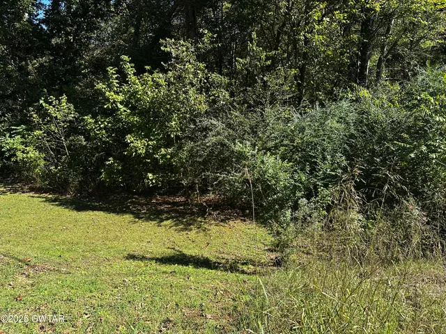 a view of plant and green space