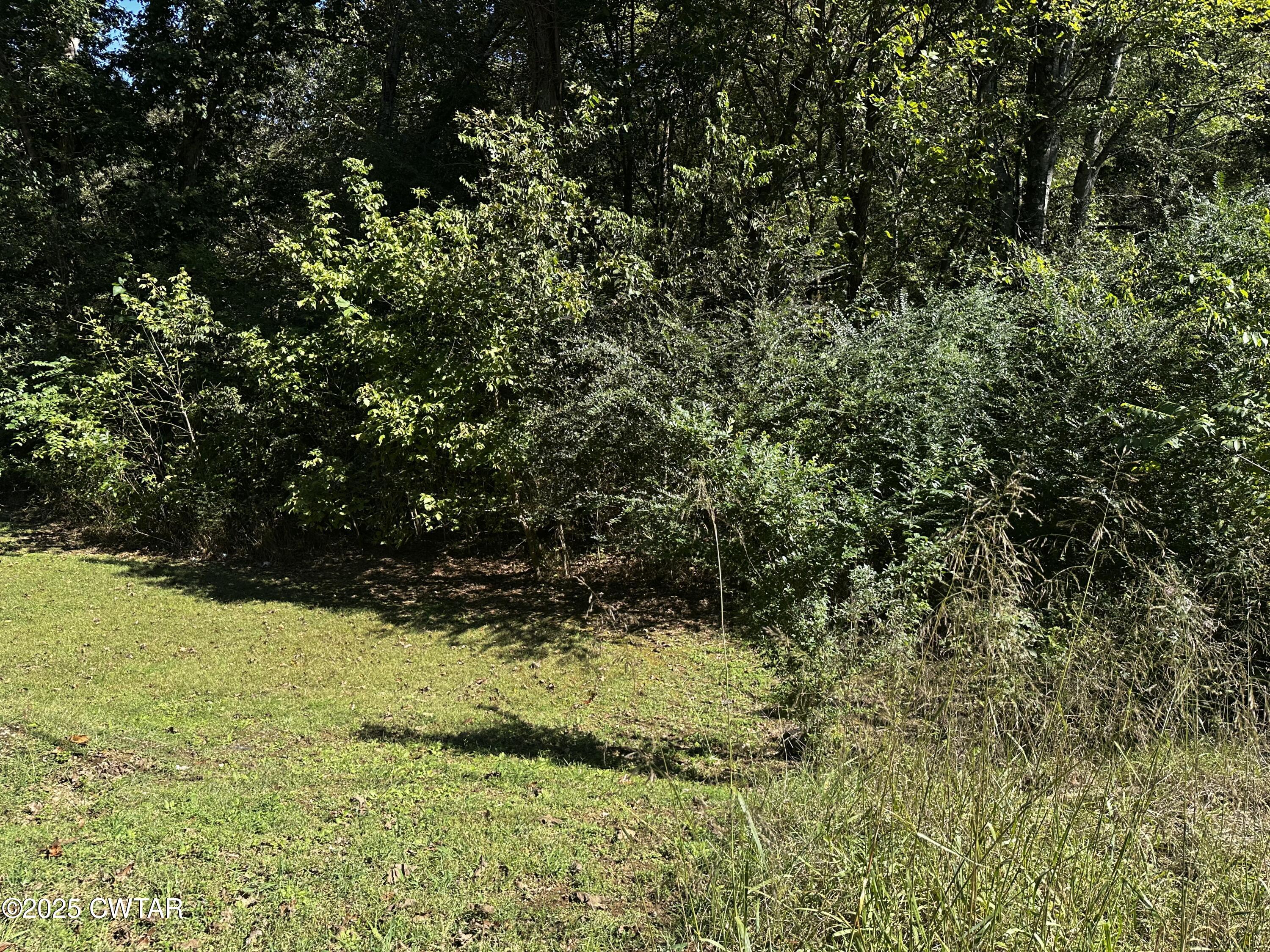 a view of plant and green space