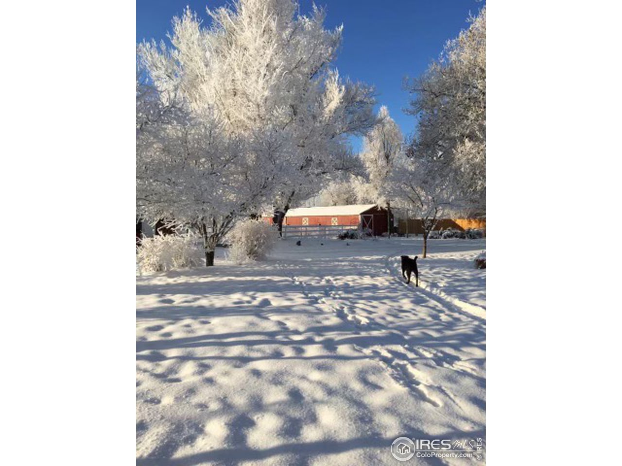 9322 Rogers Road Longmont, CO 80503 - Photo 32 of 40 Snowy view of the property