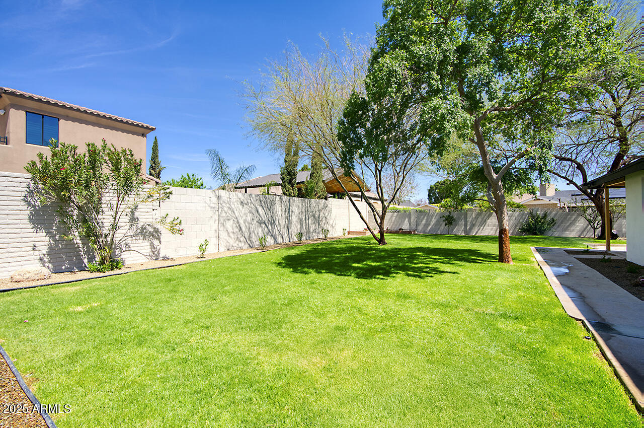 1561 North 26th Street Mesa, AZ 85213 - Photo 35 of 35 a view of yard with tree