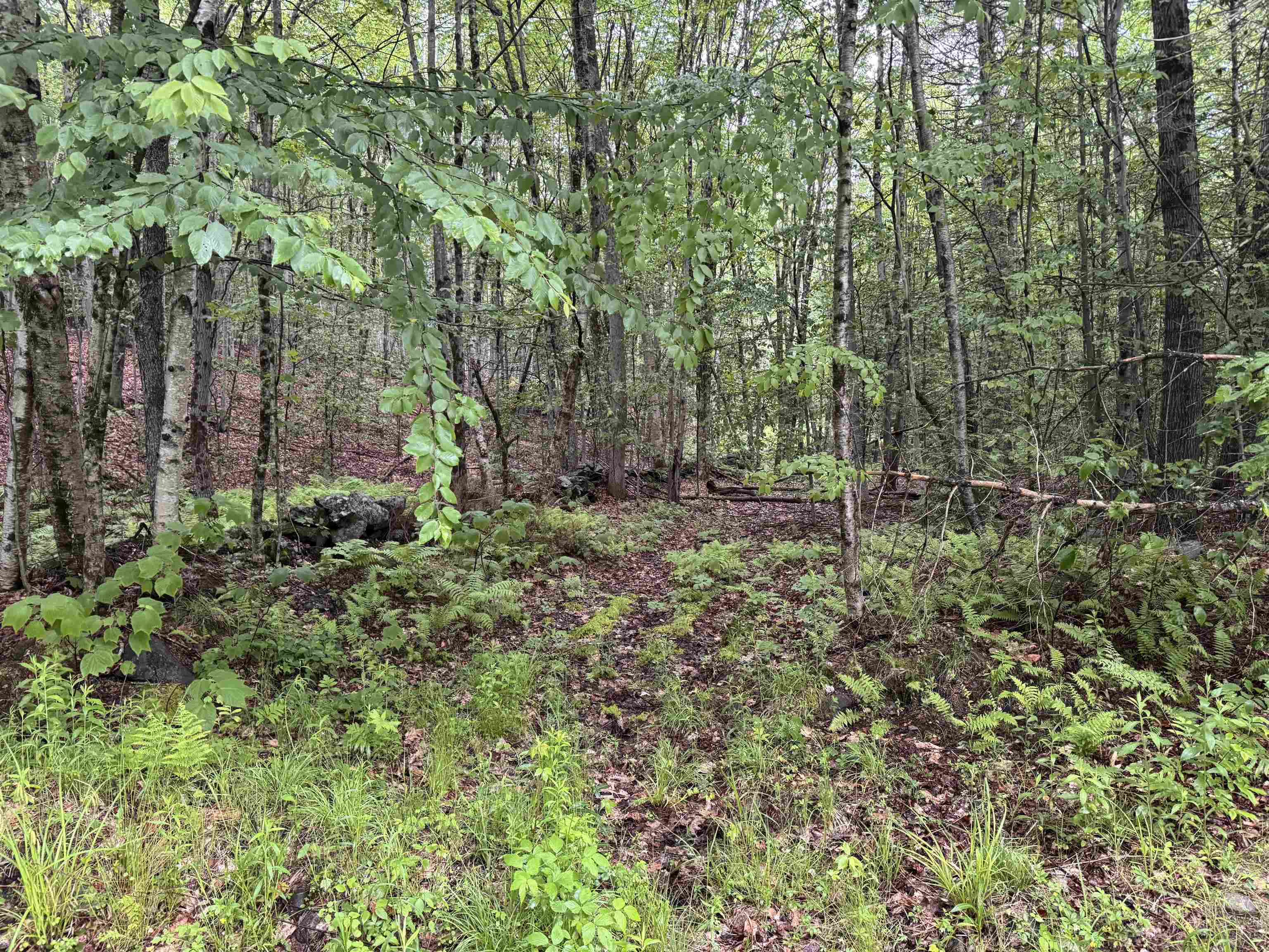 101 Gilsum Road, Unit 2 Sullivan, NH 03445 - Photo 4 of 7