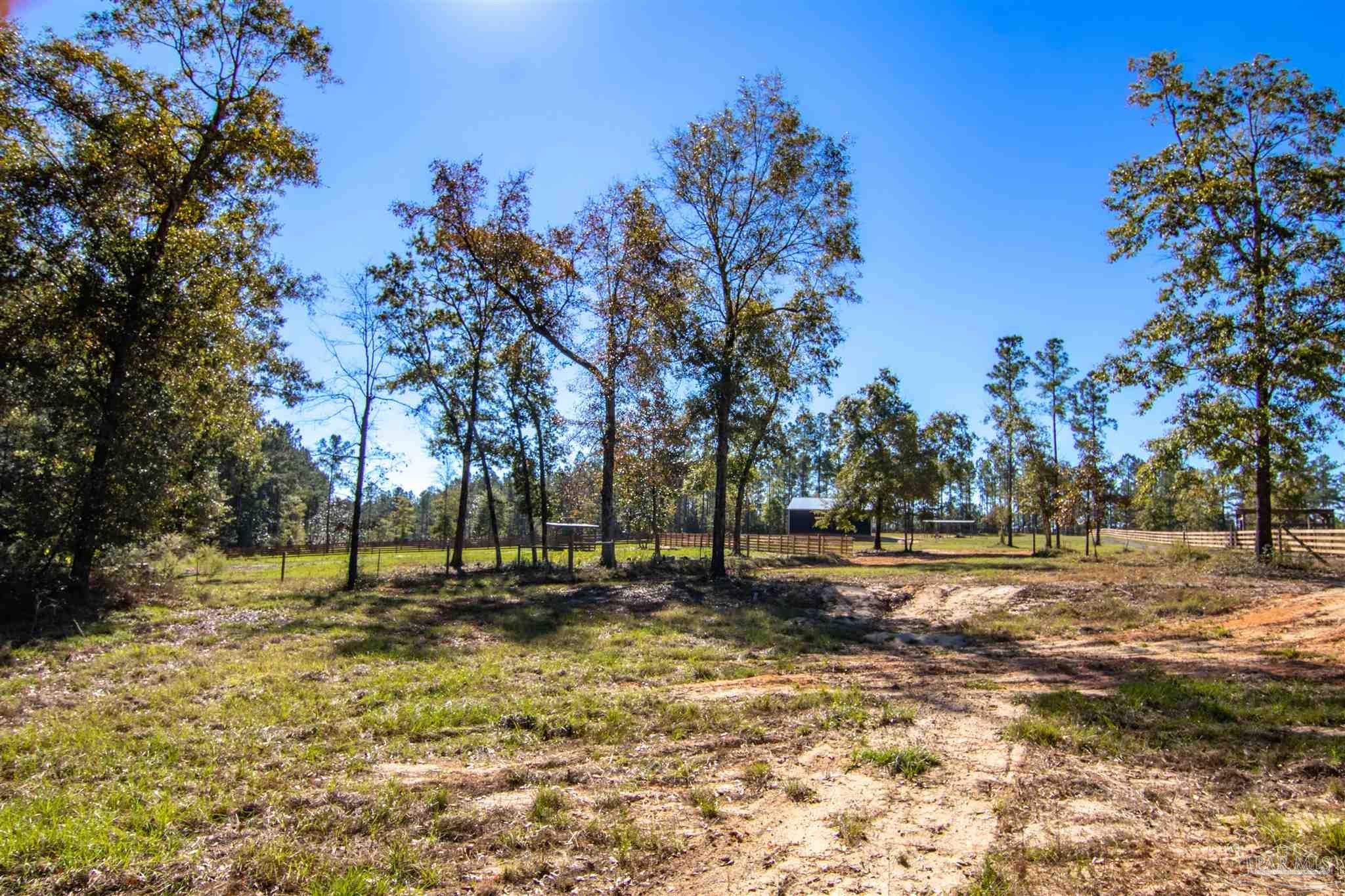 2232 Bison Drive Pace, FL 32571 - Photo 20 of 27 a view of outdoor space with trees