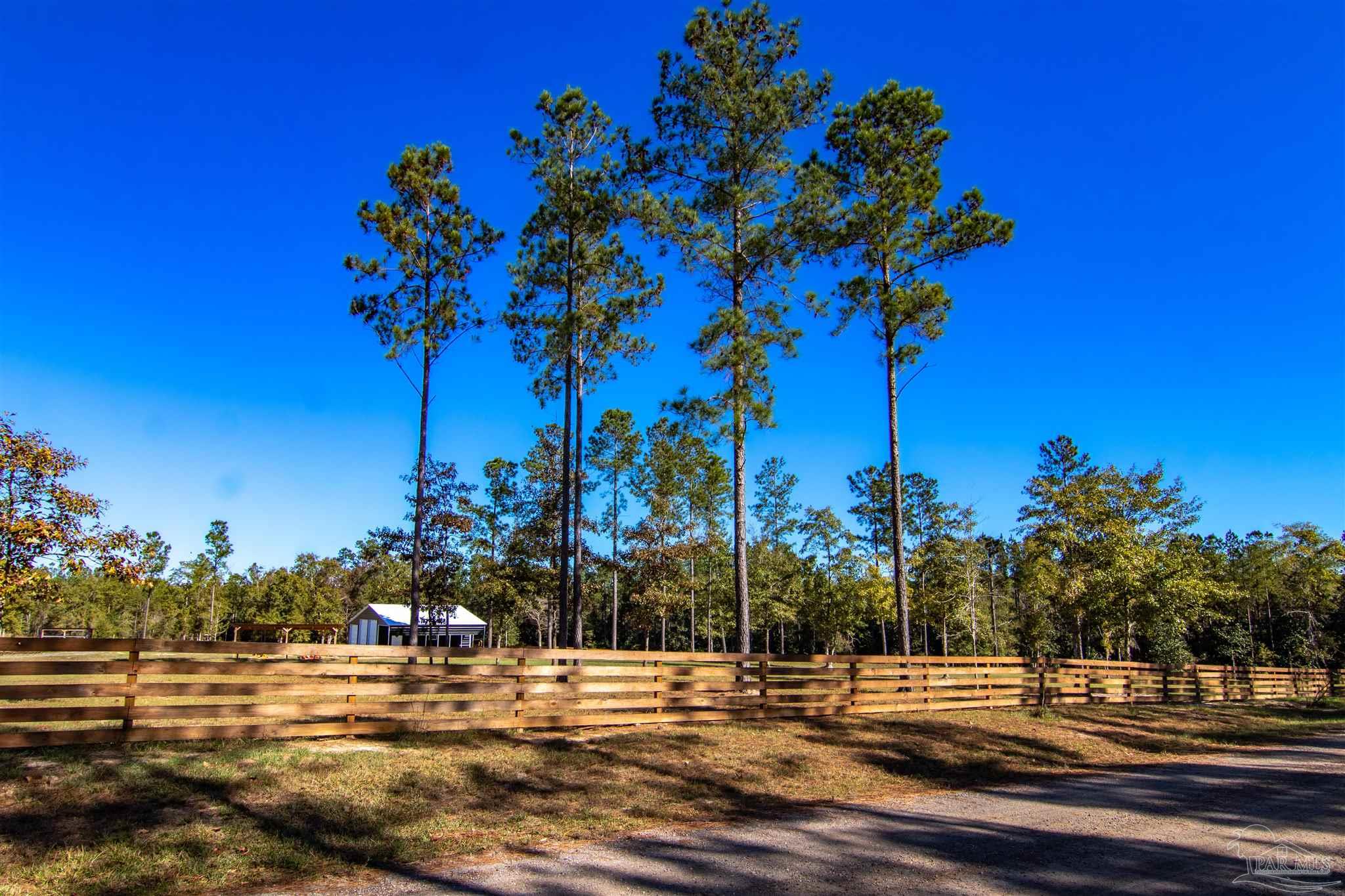 2232 Bison Drive Pace, FL 32571 - Photo 23 of 27 a view of a flower in a yard