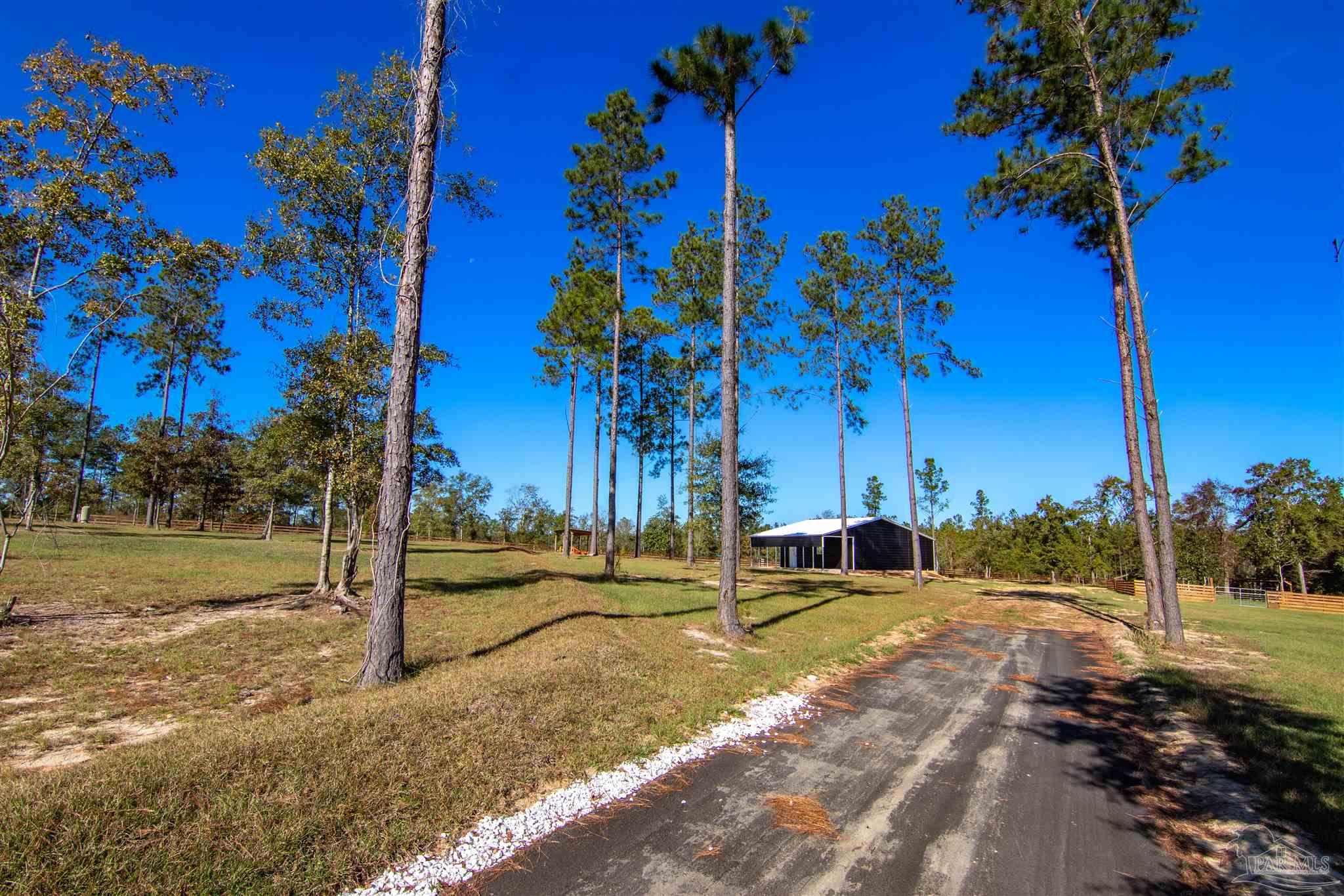 2232 Bison Drive Pace, FL 32571 - Photo 4 of 27 a view of a yard with palm tree