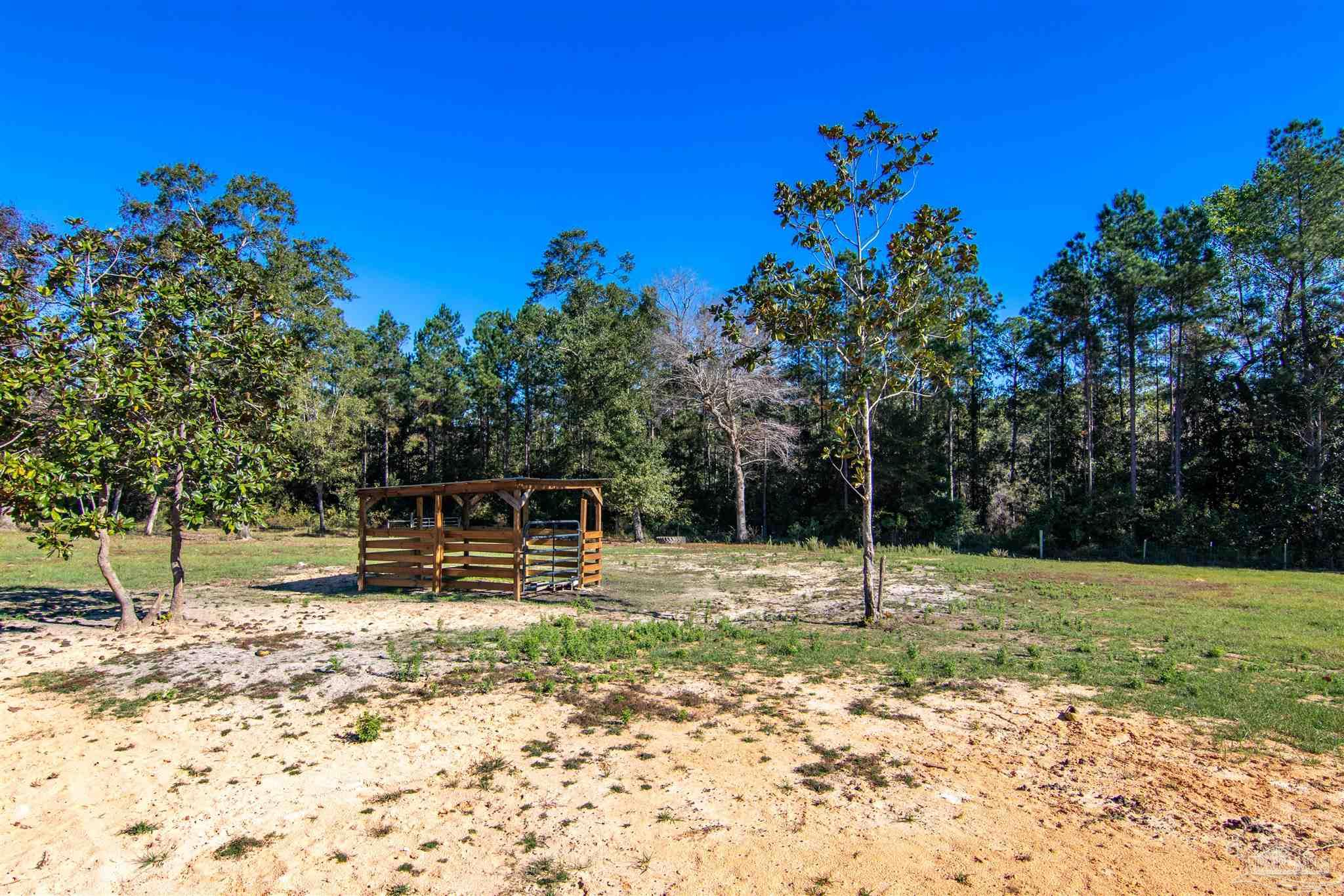 2232 Bison Drive Pace, FL 32571 - Photo 7 of 27 a view of a yard with a tree