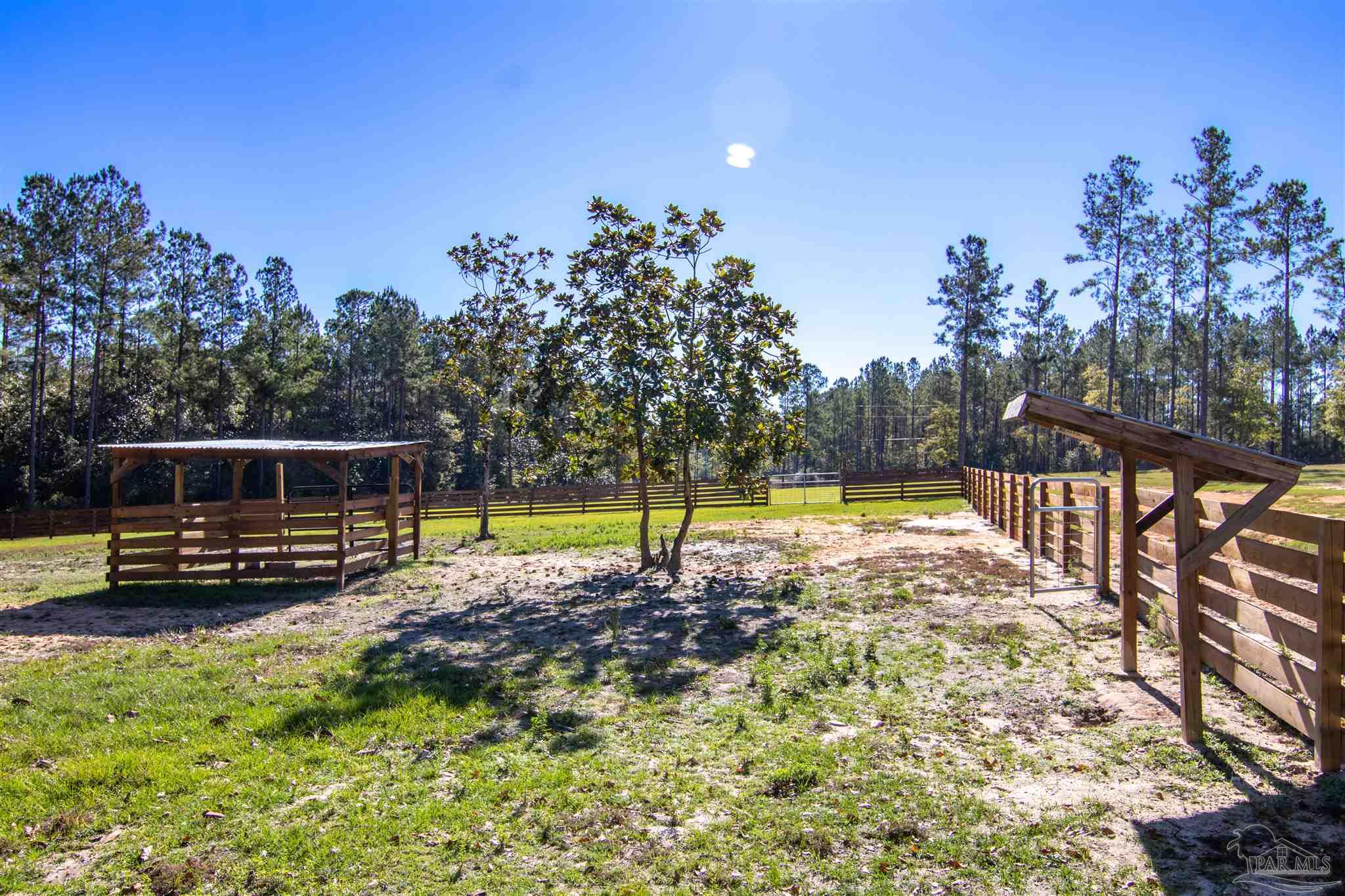 2232 Bison Drive Pace, FL 32571 - Photo 8 of 27 a view of swimming pool with trees in the background