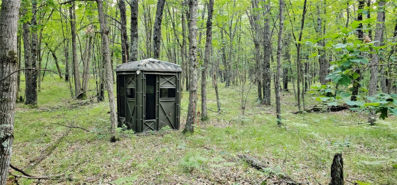 0 West Bauer Road Black River Falls, WI 54615 - Photo 1 of 9 Deer Blind