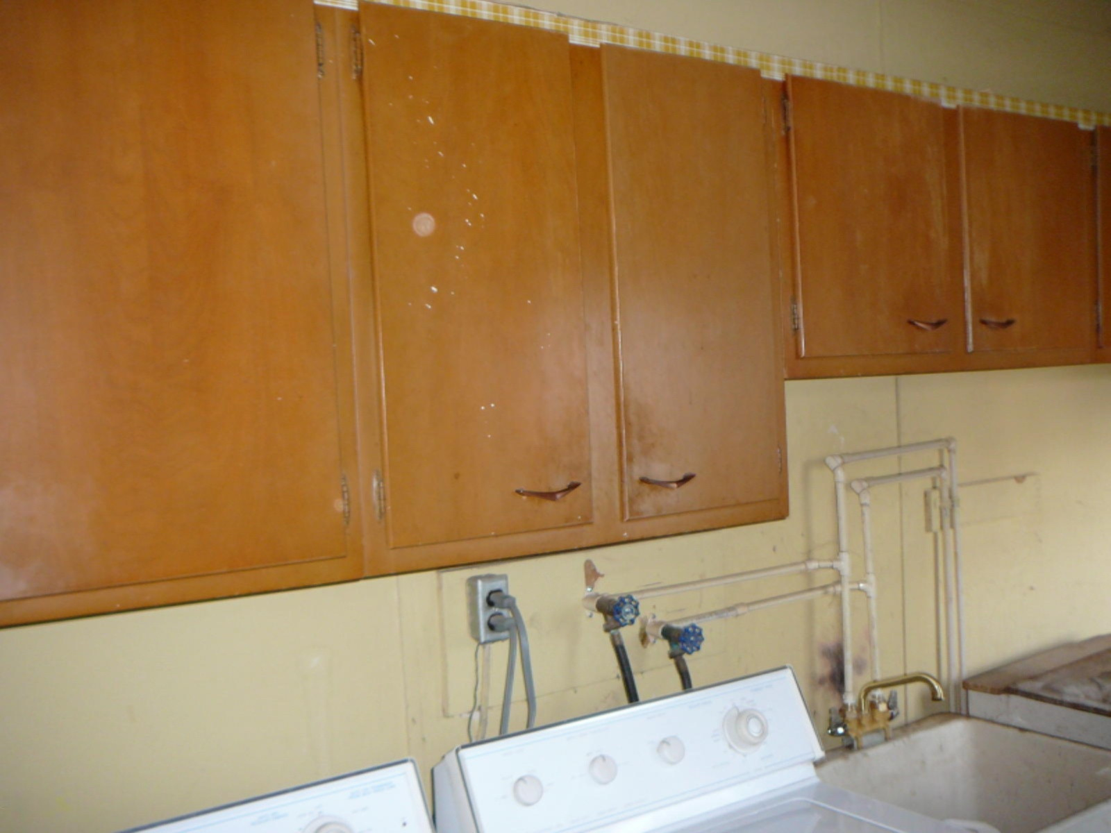 58508 Ash Road Three Rivers, MI 49093 - Photo 26 of 52 P1210663