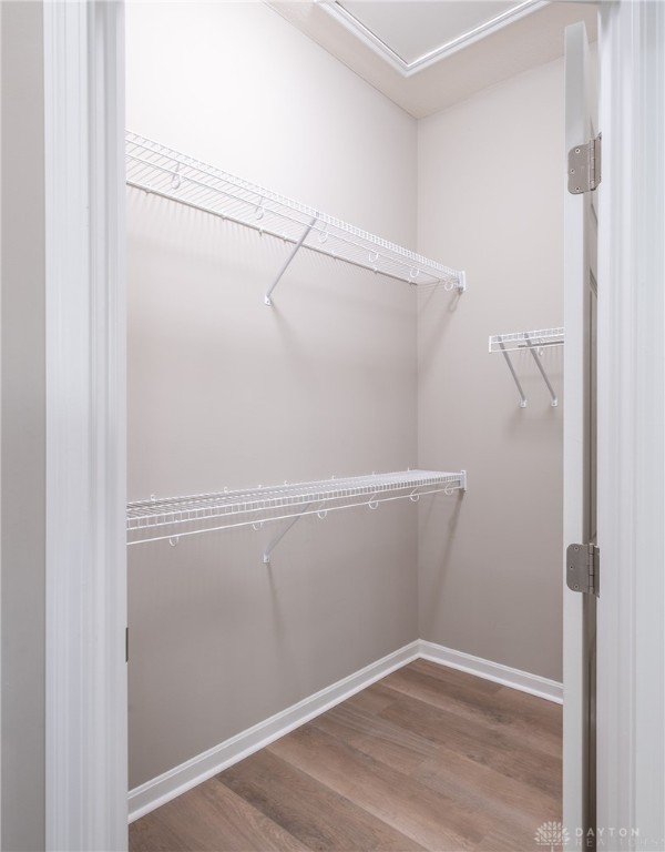 31 Rippling Brook Lane Springboro, OH 45066 - Photo 21 of 29 Walk in closet owner's bedroom