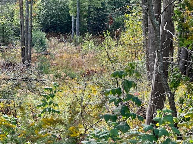 Lot 1 Back Ridge Road Orland, ME 04472 - Photo 3 of 4 Lot 1