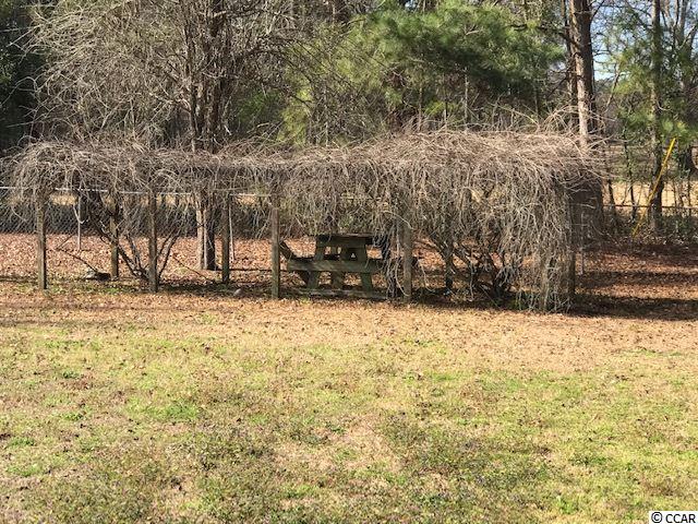65 Birch Creek Road Andrews, SC 29510 - Photo 22 of 39
