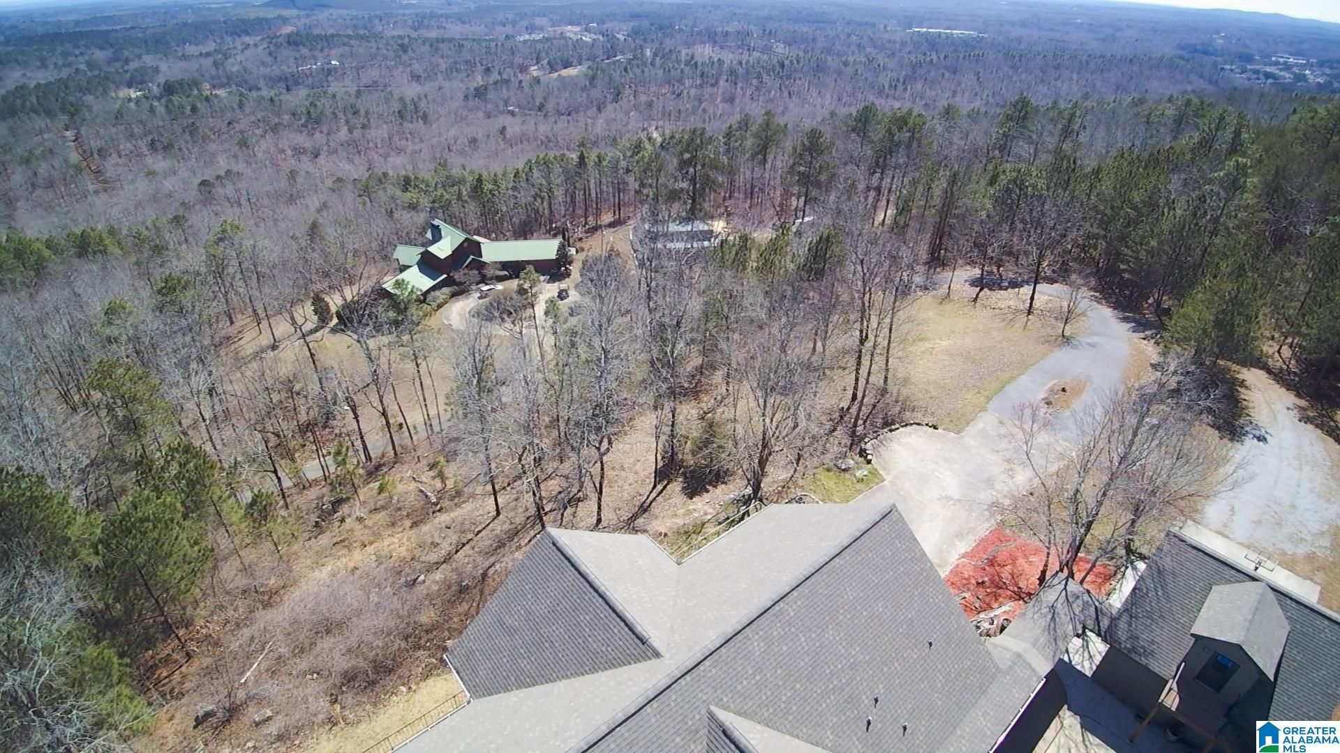 1840 Signal Valley Trail Chelsea, AL 35043 - Photo 4 of 49
