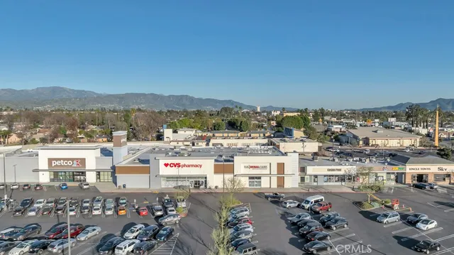 a view of a pathway with plants and large trees