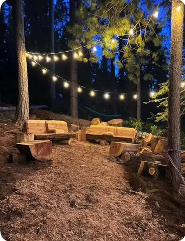 a view of a forest with a street