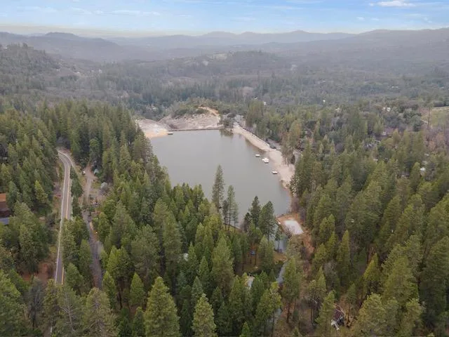 a view of a forest with a house