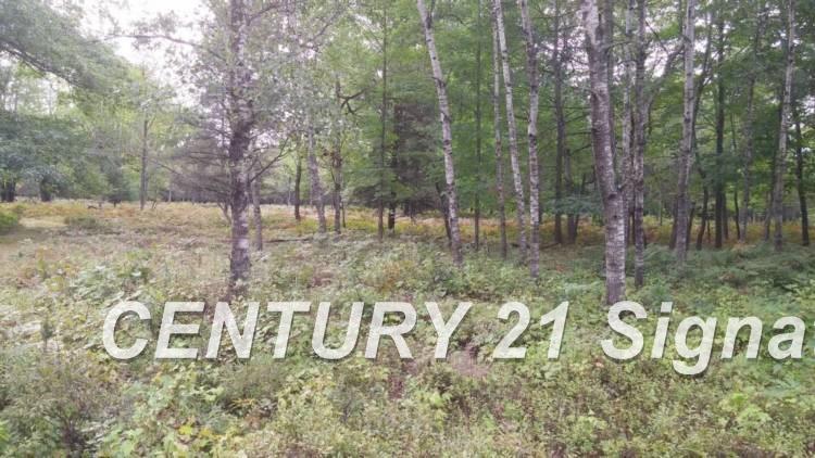 West Huron Road Au Gres, MI 48703 - Photo 6 of 21