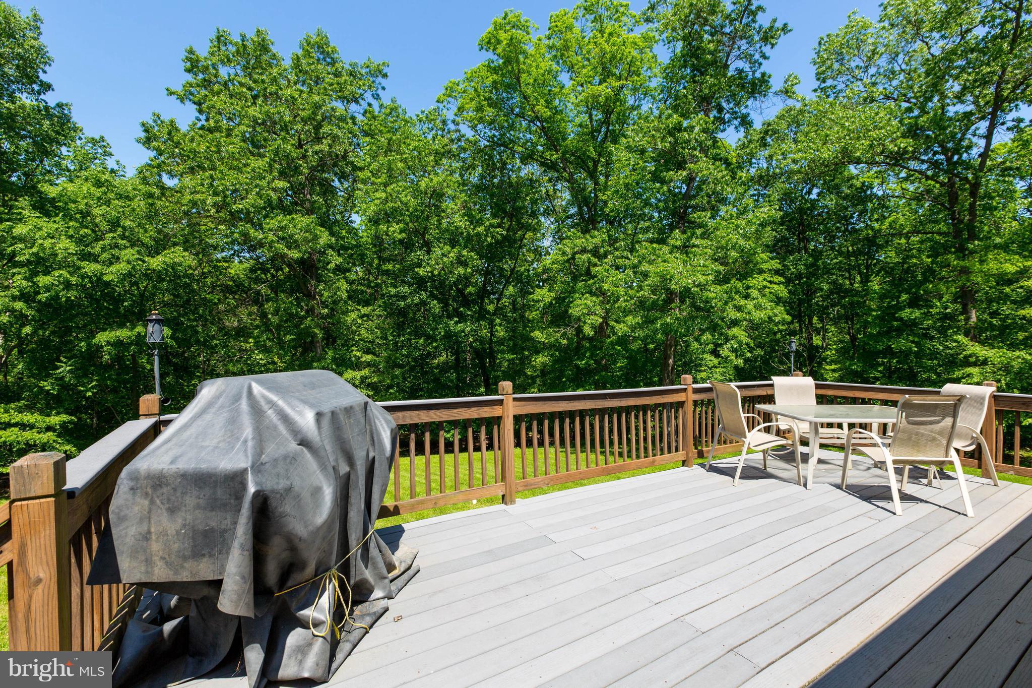 5004 Reels Mill Road Frederick, MD 21704 - Photo 28 of 30 Rear Deck
