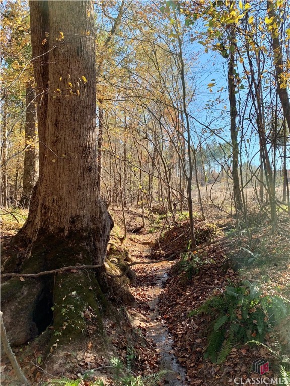 0 Center Church Road Stephens, GA 30667 - Photo 14 of 26