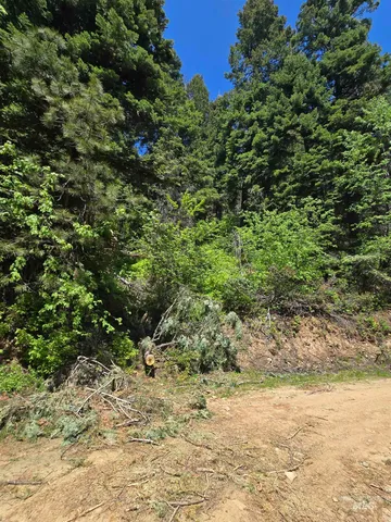 $98,000 | 74 Burnt Wagon Trail, Cascade, ID 83611