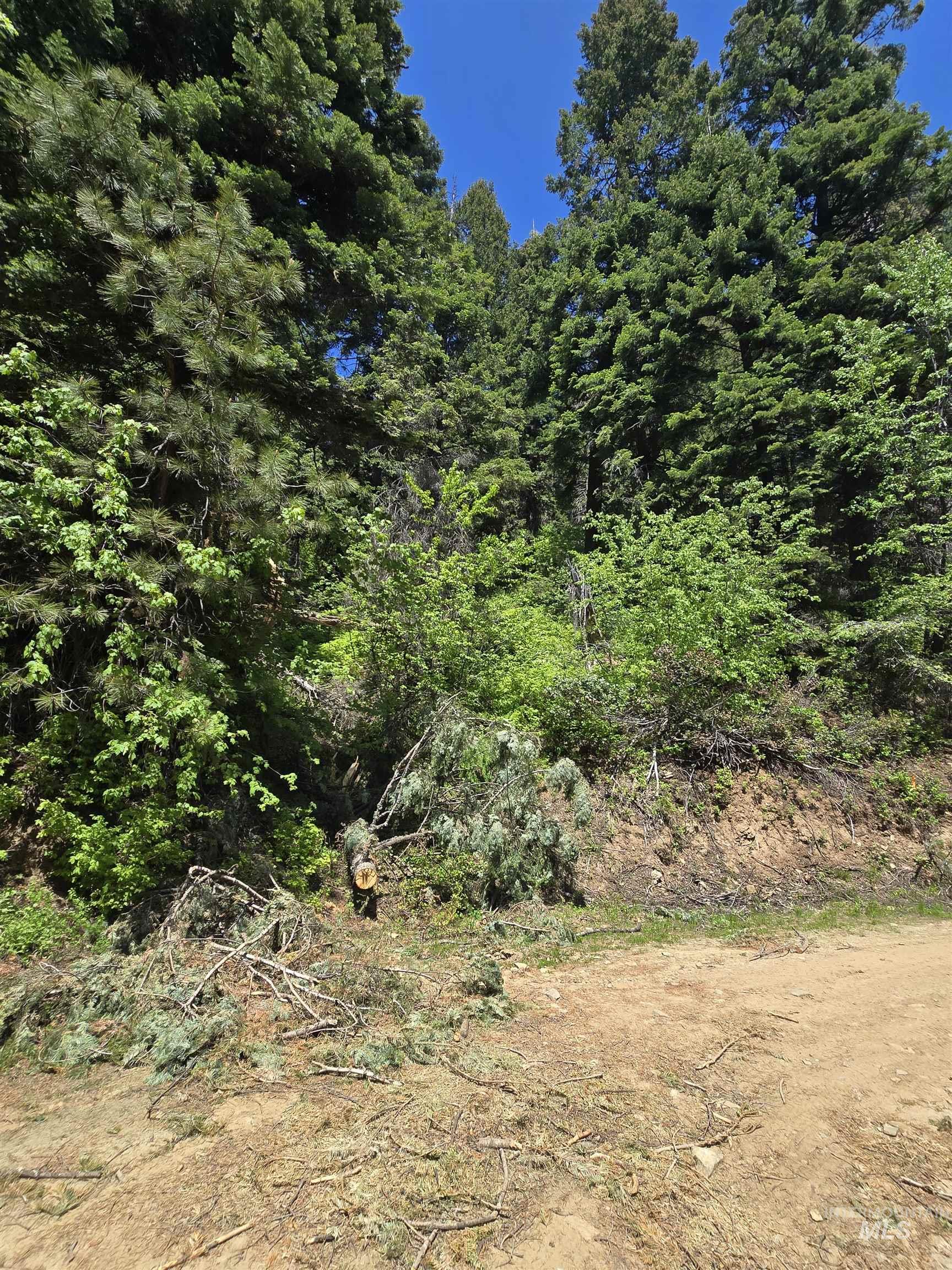 74 Burnt Wagon Trail Cascade, ID 83611 - Photo 2 of 5