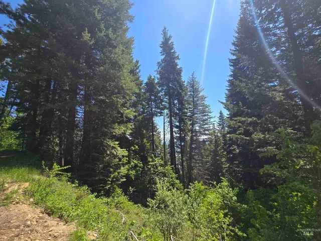 $98,000 | 74 Burnt Wagon Trail, Cascade, ID 83611