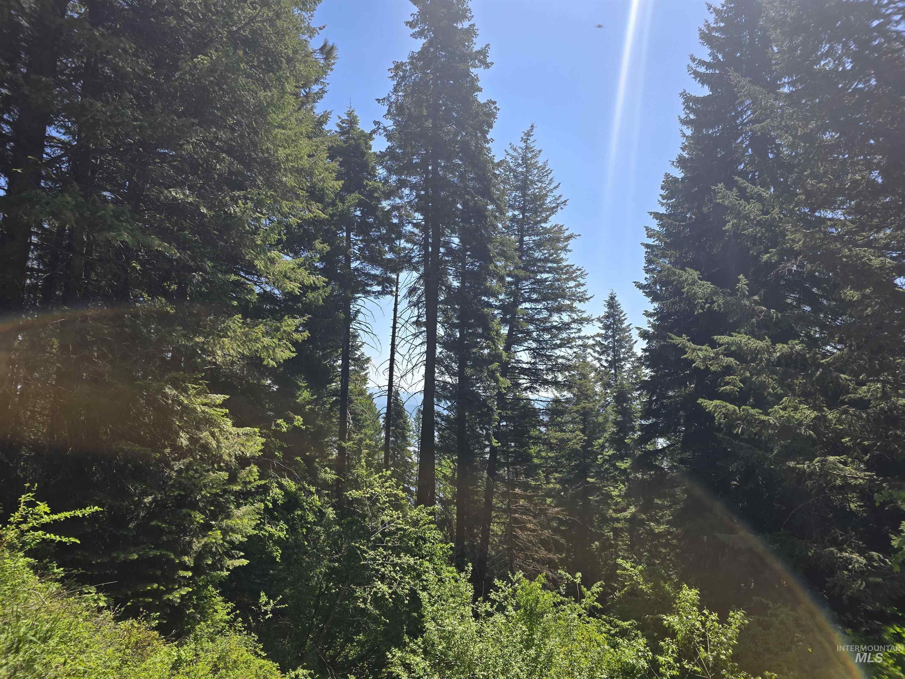 74 Burnt Wagon Trail Cascade, ID 83611 - Photo 5 of 5