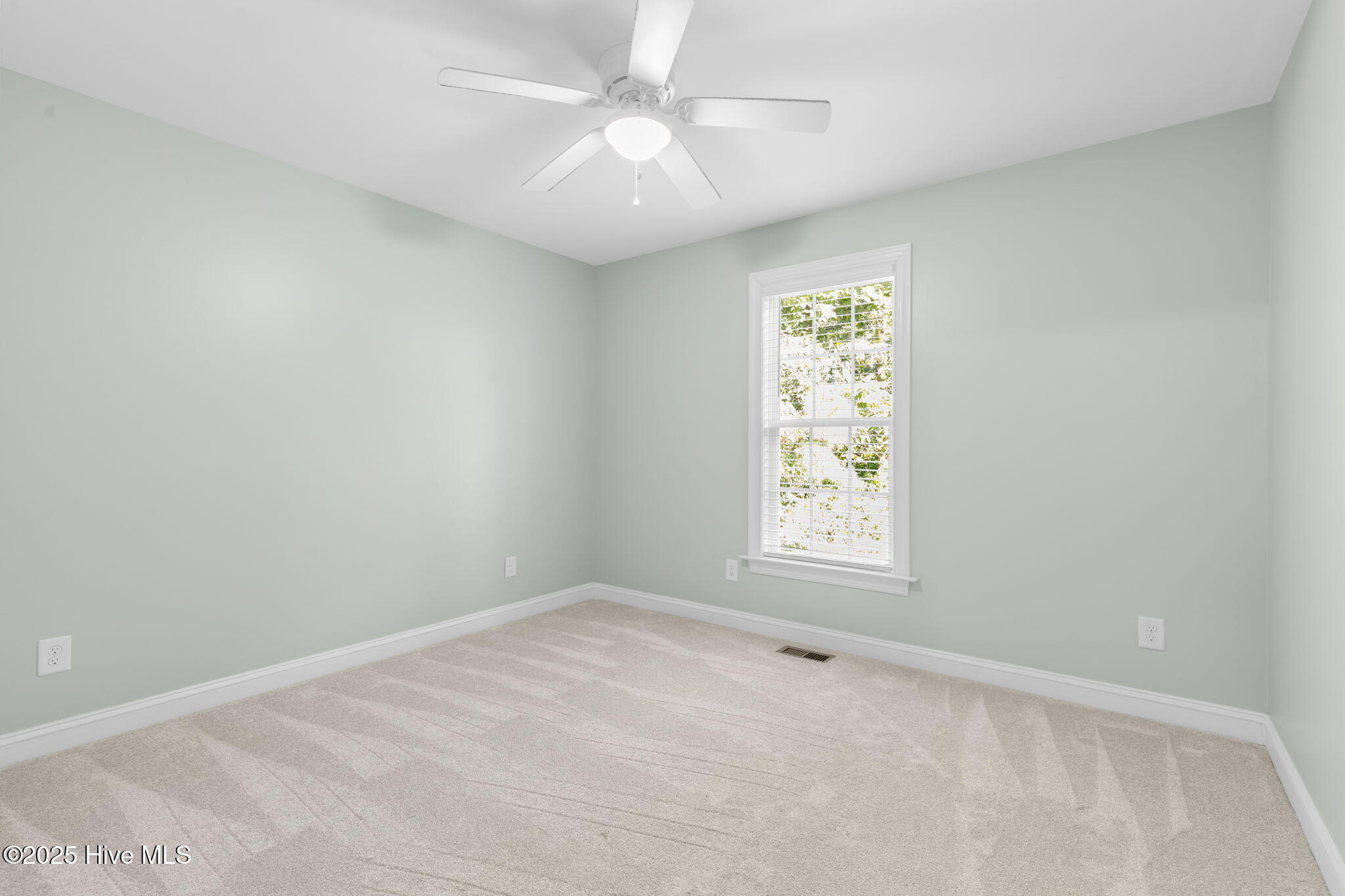 10369 Chestnut Ridge Road Bailey, NC 27807 - Photo 28 of 38 3rd Bedroom 2
