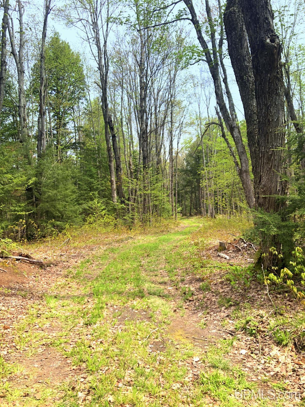 Tbd Tbd Northwestern/camp Road Ishpeming, MI 49849 - Photo 22 of 63