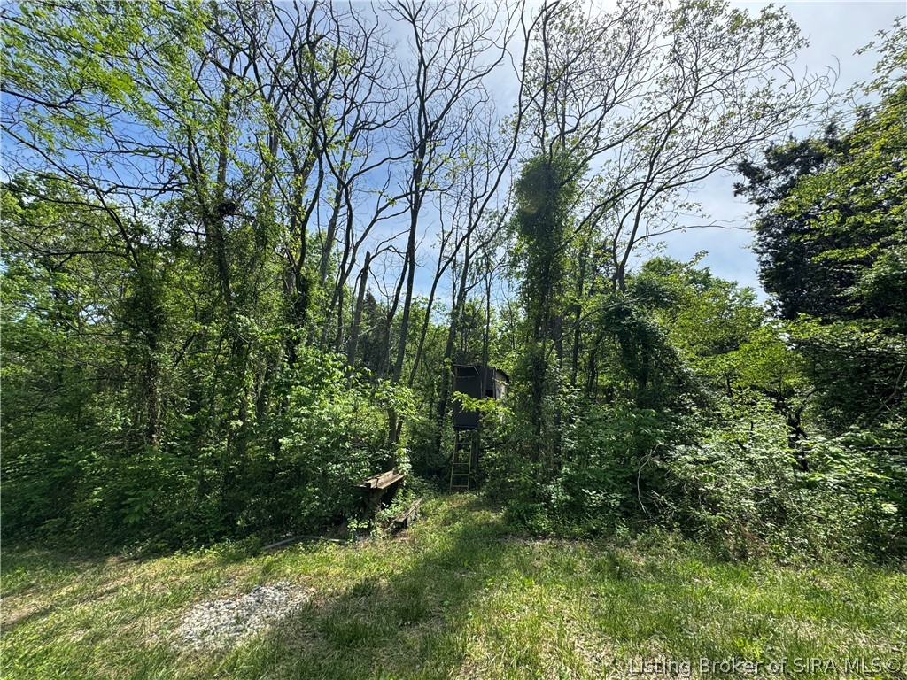 28.677-ac Miles Road Nabb, IN 47147 - Photo 3 of 9
