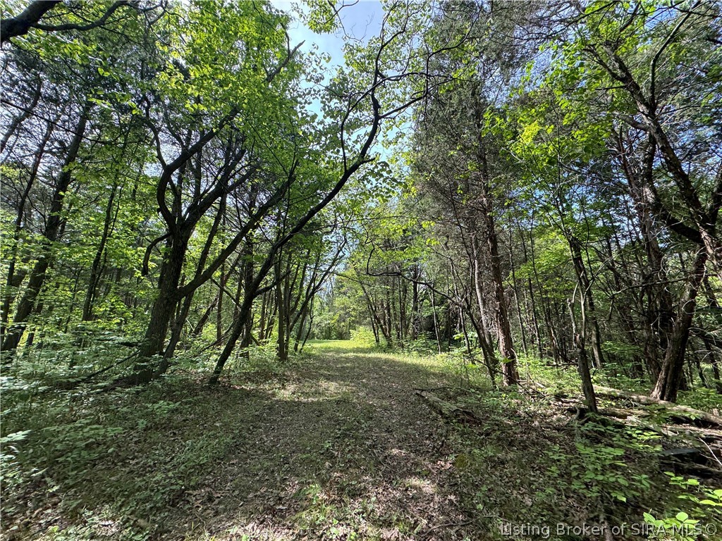 28.677-ac Miles Road Nabb, IN 47147 - Photo 4 of 9