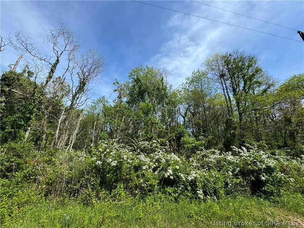 28.677-ac Miles Road Nabb, IN 47147 - Photo 5 of 9