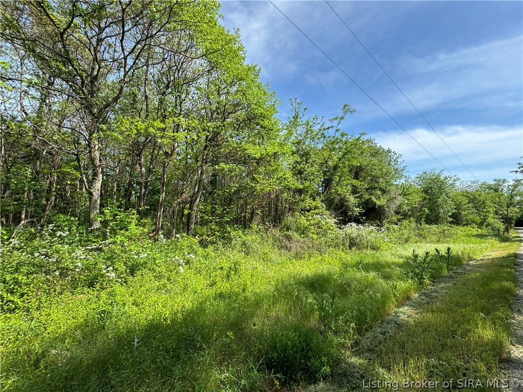 28.677-ac Miles Road Nabb, IN 47147 - Photo 6 of 9