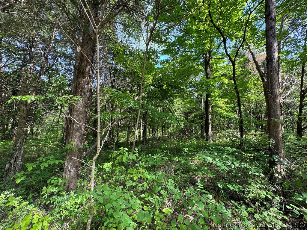 28.677-ac Miles Road Nabb, IN 47147 - Photo 7 of 9