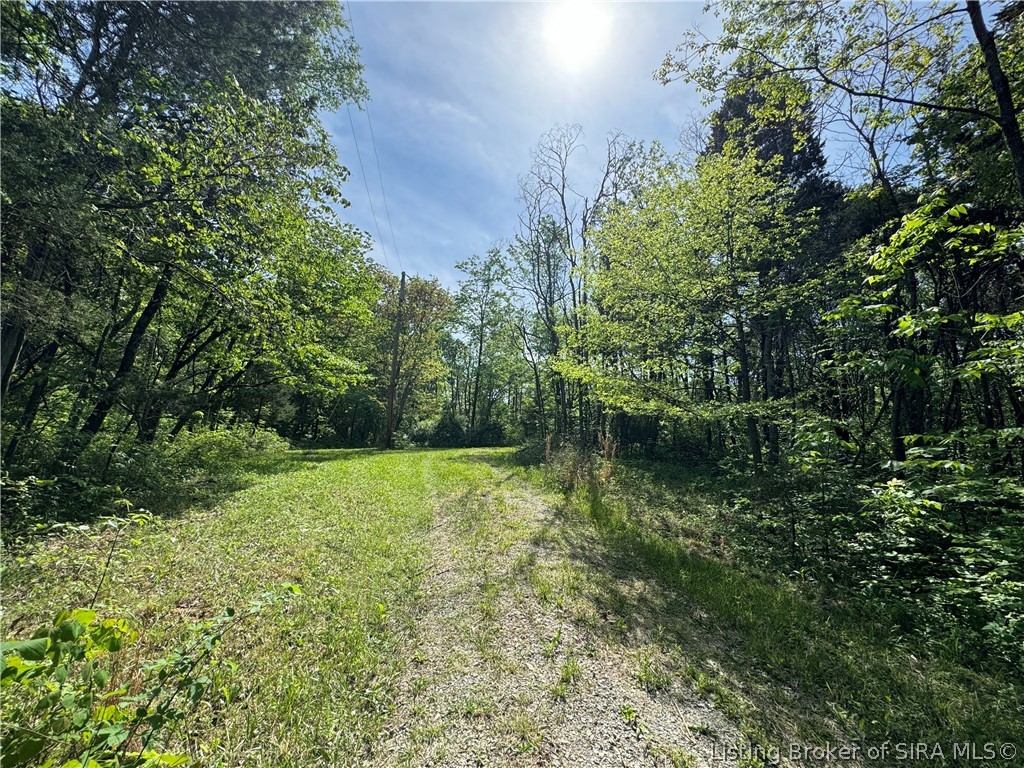 28.677-ac Miles Road Nabb, IN 47147 - Photo 8 of 9