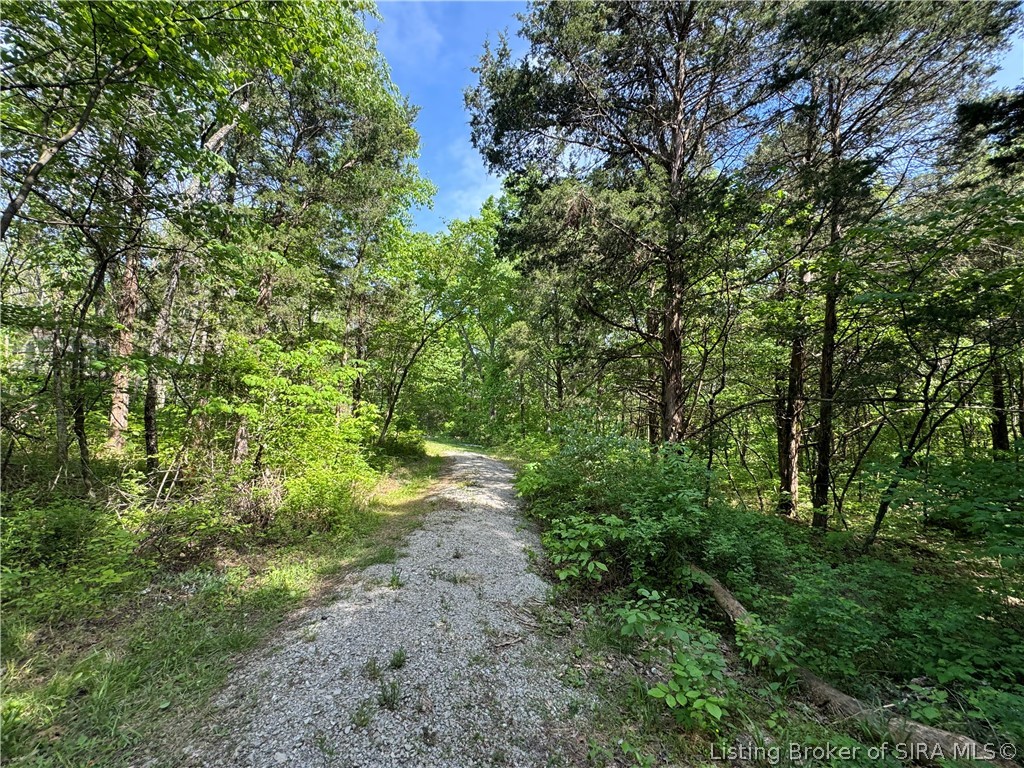 28.677-ac Miles Road Nabb, IN 47147 - Photo 9 of 9