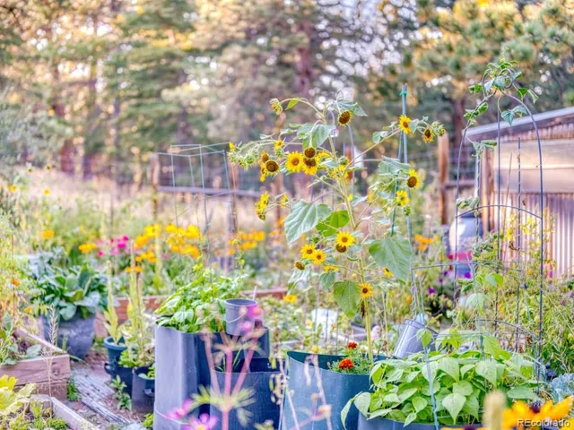 $1,375,000 | 21531 Main Avenue, Golden, CO 80401