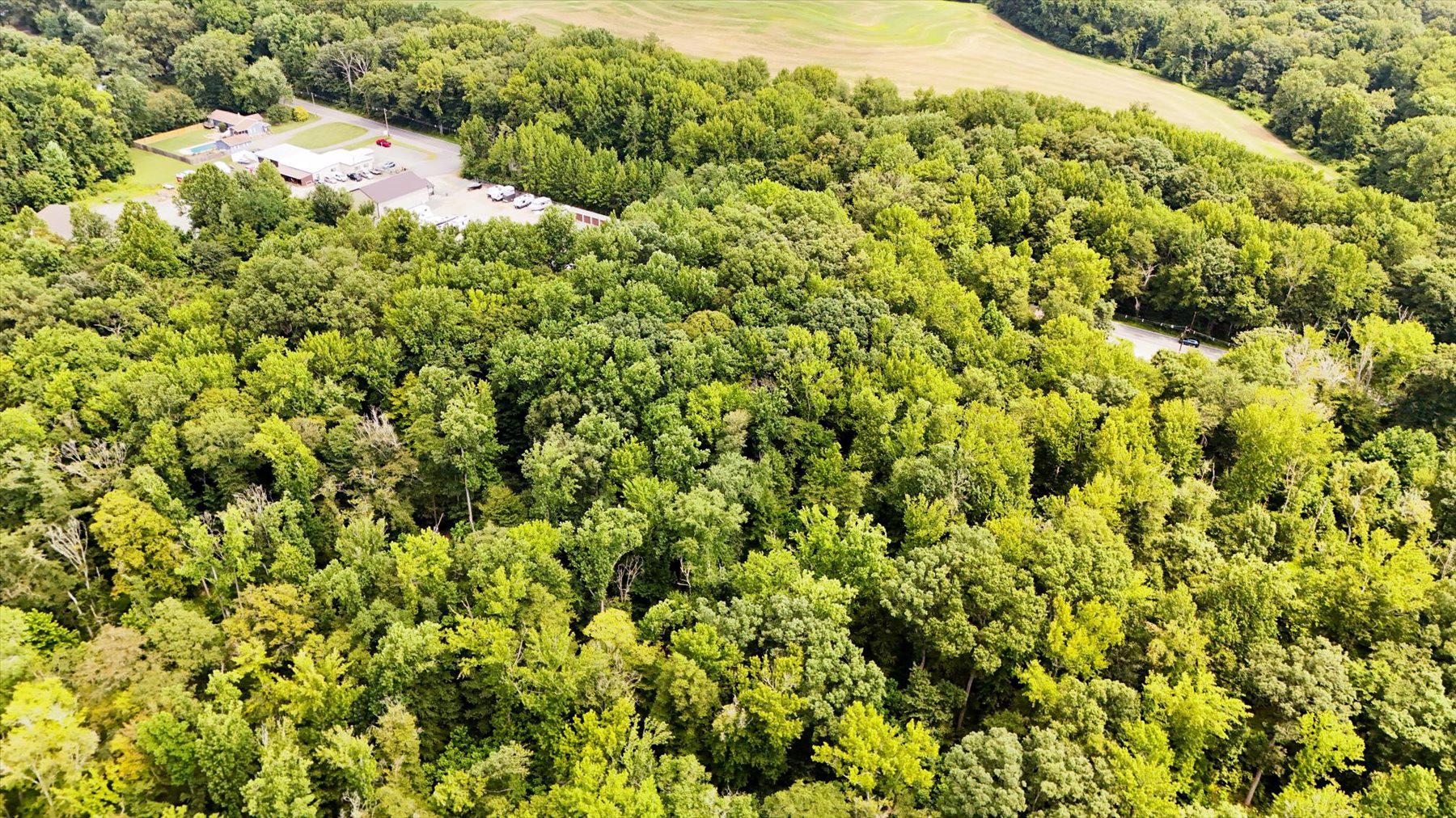0 Blue Ball Road Elkton, MD 21921 - Photo 10 of 10 Wooded 0.30-acre lot on Blue Ball Road.