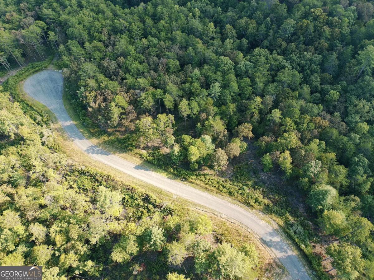 Lot 41 Ridgeline Lane Mineral Bluff, GA 30559 - Photo 4 of 6 a view of a yard with a tree