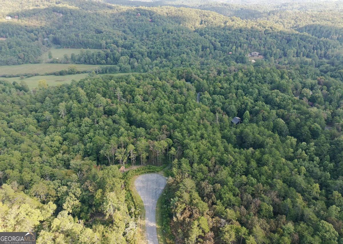 Lot 41 Ridgeline Lane Mineral Bluff, GA 30559 - Photo 5 of 6 a view of a forest with a sink and yard