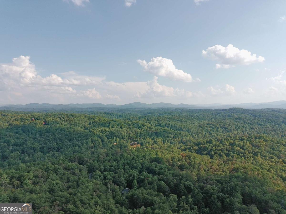 Lot 41 Ridgeline Lane Mineral Bluff, GA 30559 - Photo 6 of 6 a view of a city and a beach