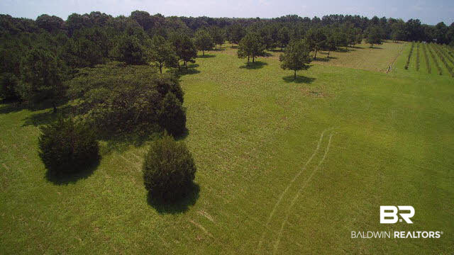 27608 County Road 65 Loxley, AL 36551 - Photo 24 of 32 East boundary